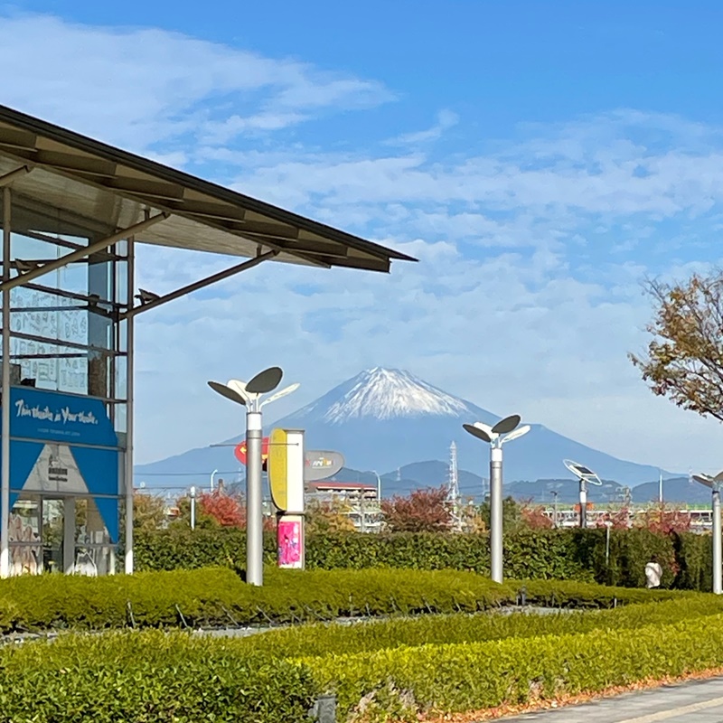 富士山が見える会場で耳ツボダイエット資格習得講座